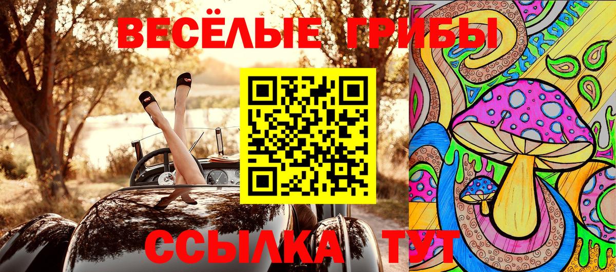 Псилоцибиновые грибы мицелий Спасск-Дальний