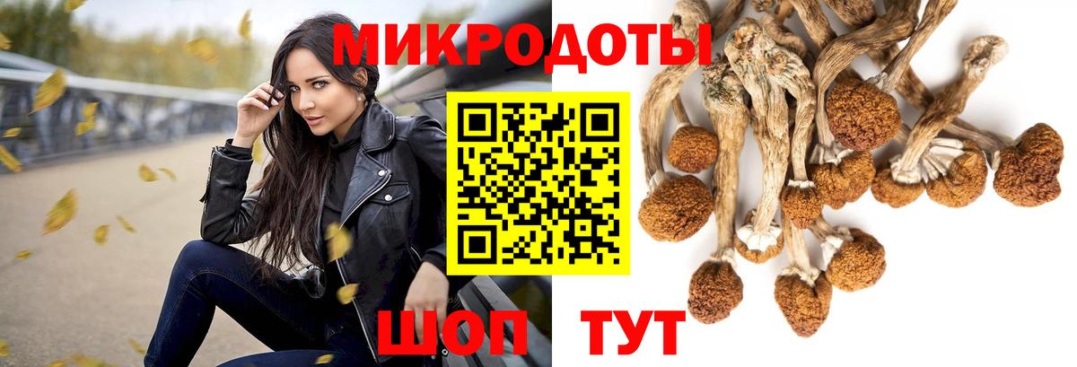 Спасск-Дальний  Псилоцибиновые грибы прущие грибы  Вход с VPN 